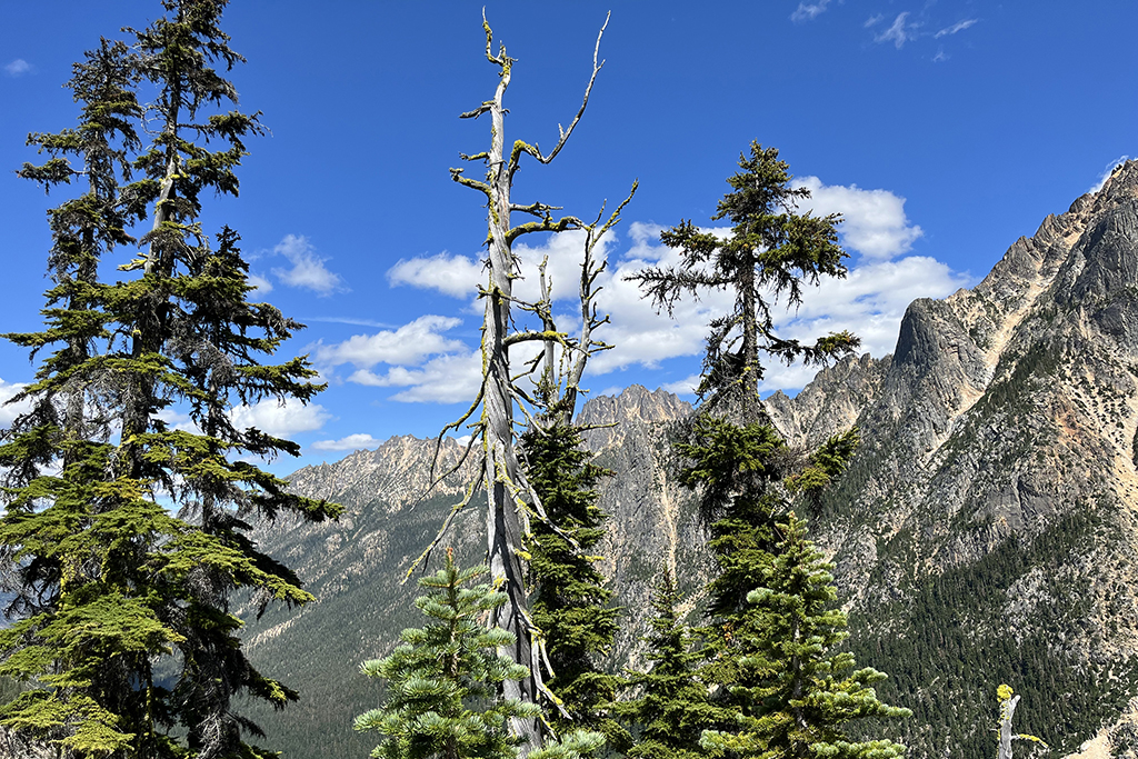 Washington Pass Observation Site