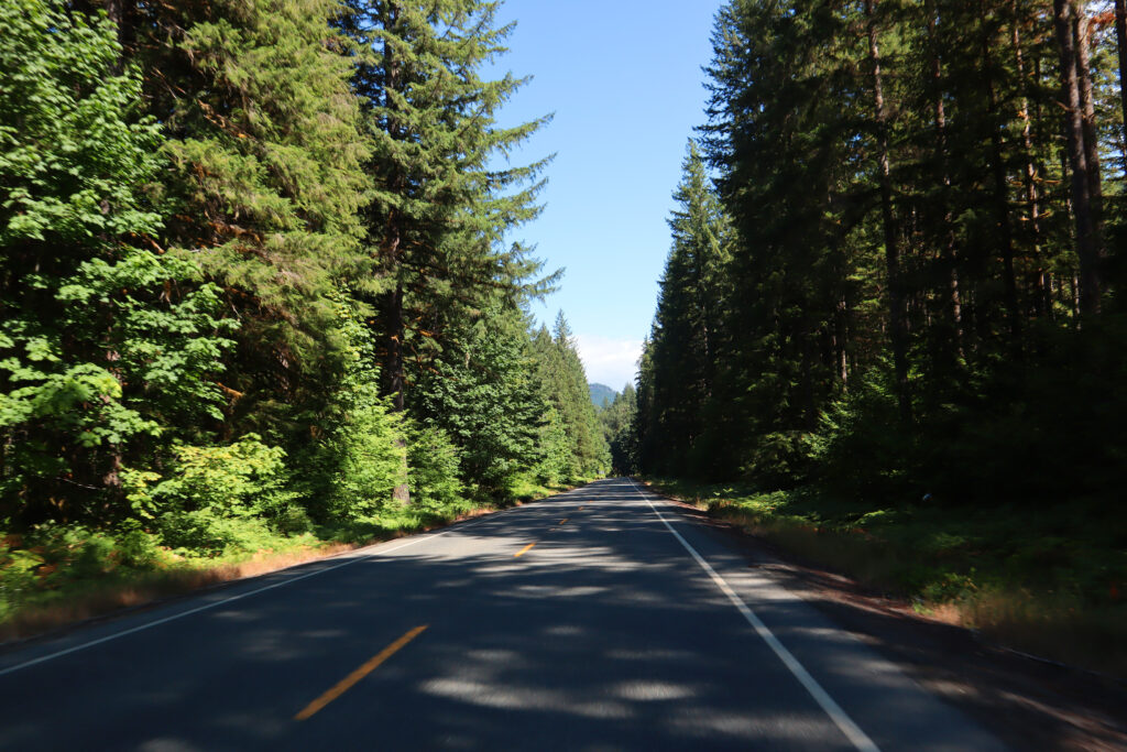 dichte Wälder in Washington