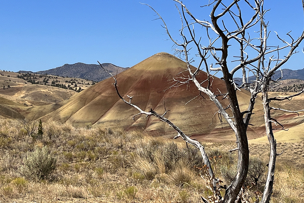 Painted Hills 