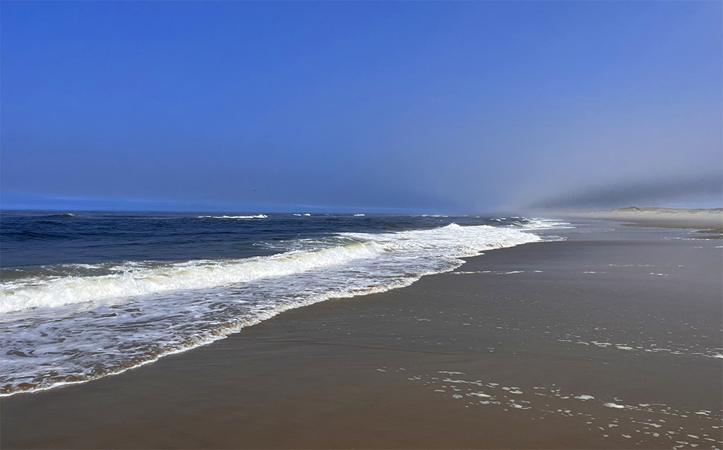 Pazifikküste bei den Oregon Dunes