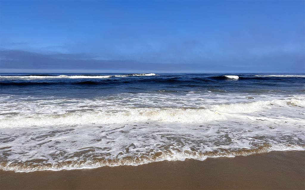 Pazifikküste bei den Oregon Dunes