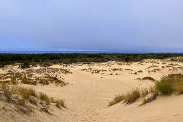 Oregon Dunes