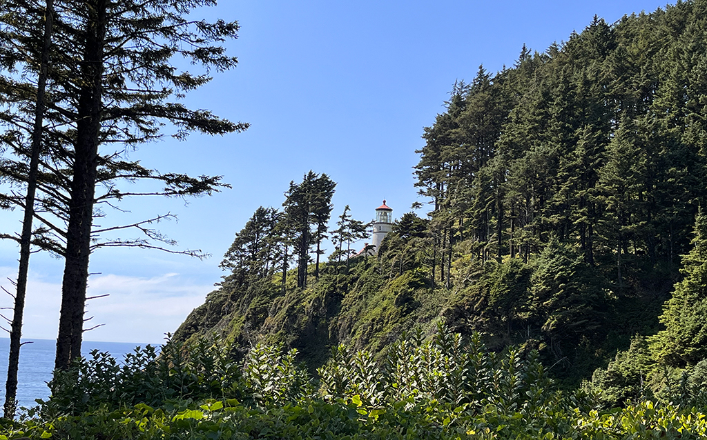 Blick zum Heceta Head Lighthouse