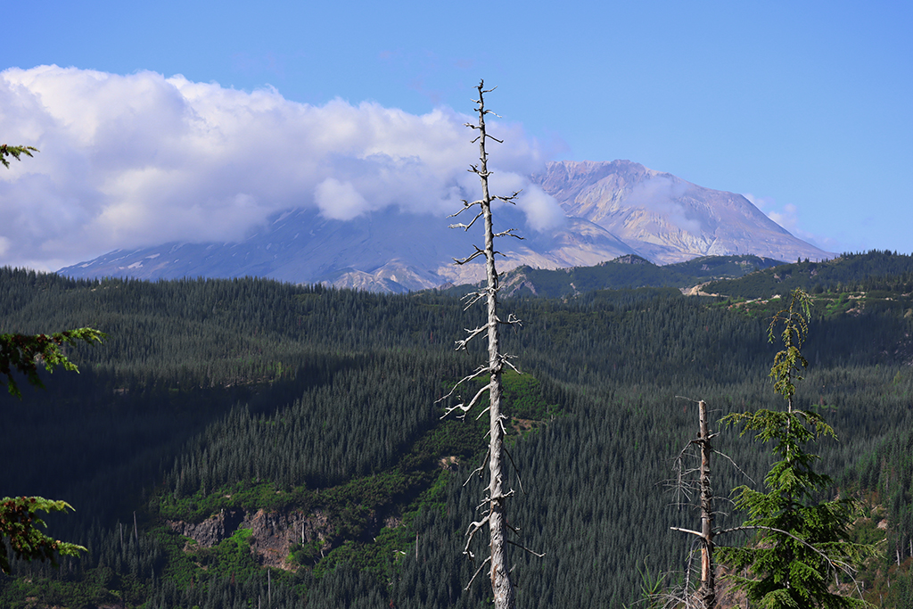 Mt. St. Helens