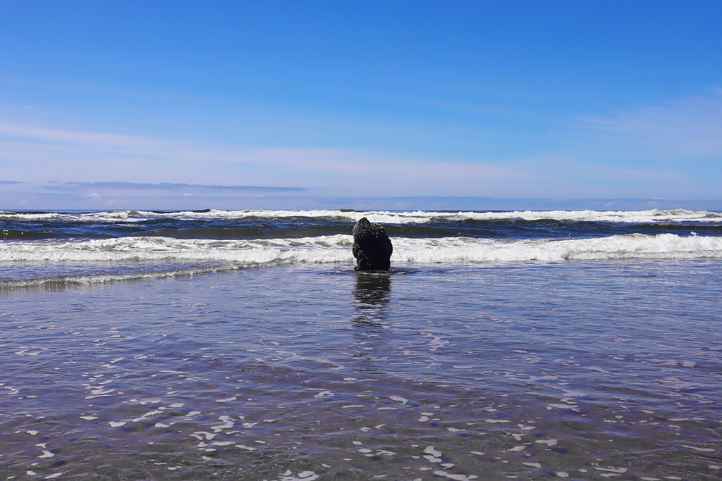 ca. 2000 Jahre alter Baumstamm am Neskowin Beach