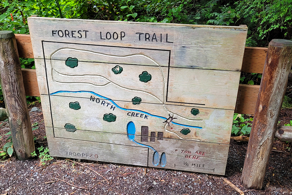 McCollum Park Forest Loop Trail sign