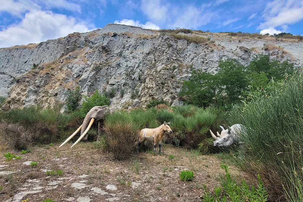 Museo Geologico del Monticino